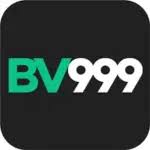BV999 GAME ICON
