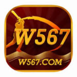 w567 game