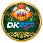 DK222 Game icon