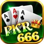 pkr666 game icon