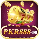 pkr888 game icon